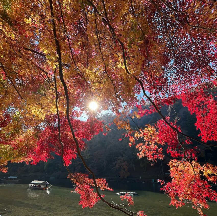 日本和服推薦｜獨家京都和服12選！超質感清水寺和服店、嵐山和服、伏見稻荷和服推薦