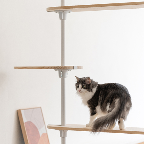 Hug｜木質系貓跳台- 天空木走道
