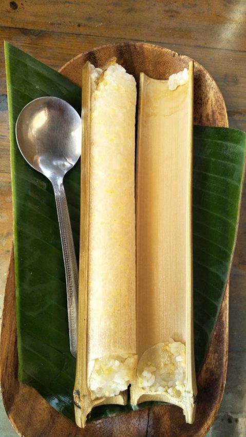 【2025達娜伊谷】達娜伊谷一日遊怎麼玩？自然生態公園&水上餐廳必去