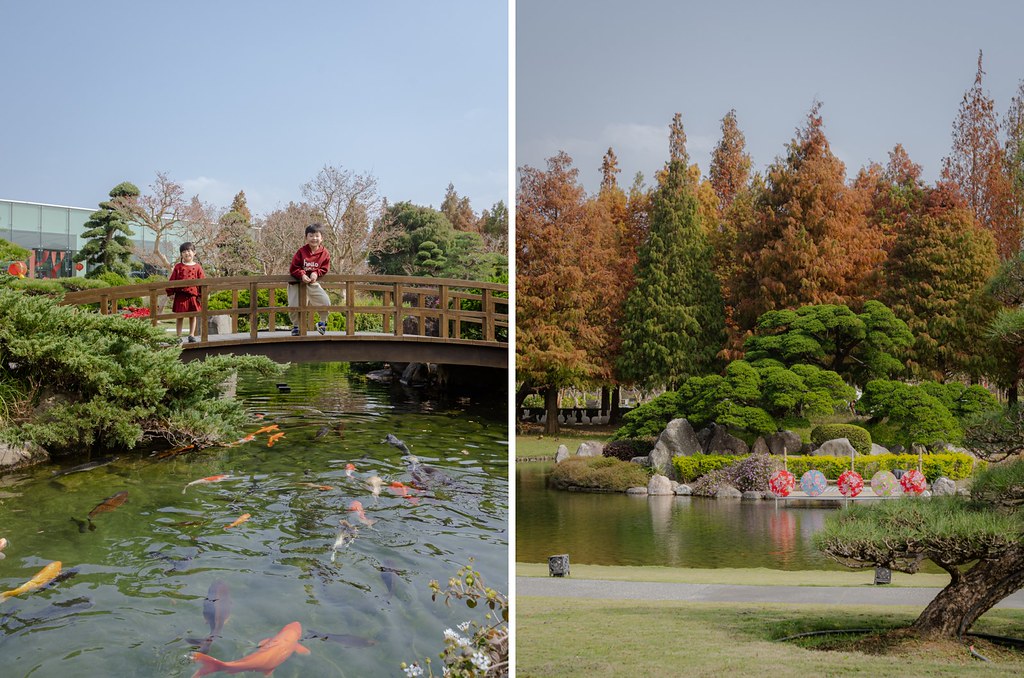 彰化景點》成美文化園｜百米落羽松步道超夢幻！油紙傘天空步道、