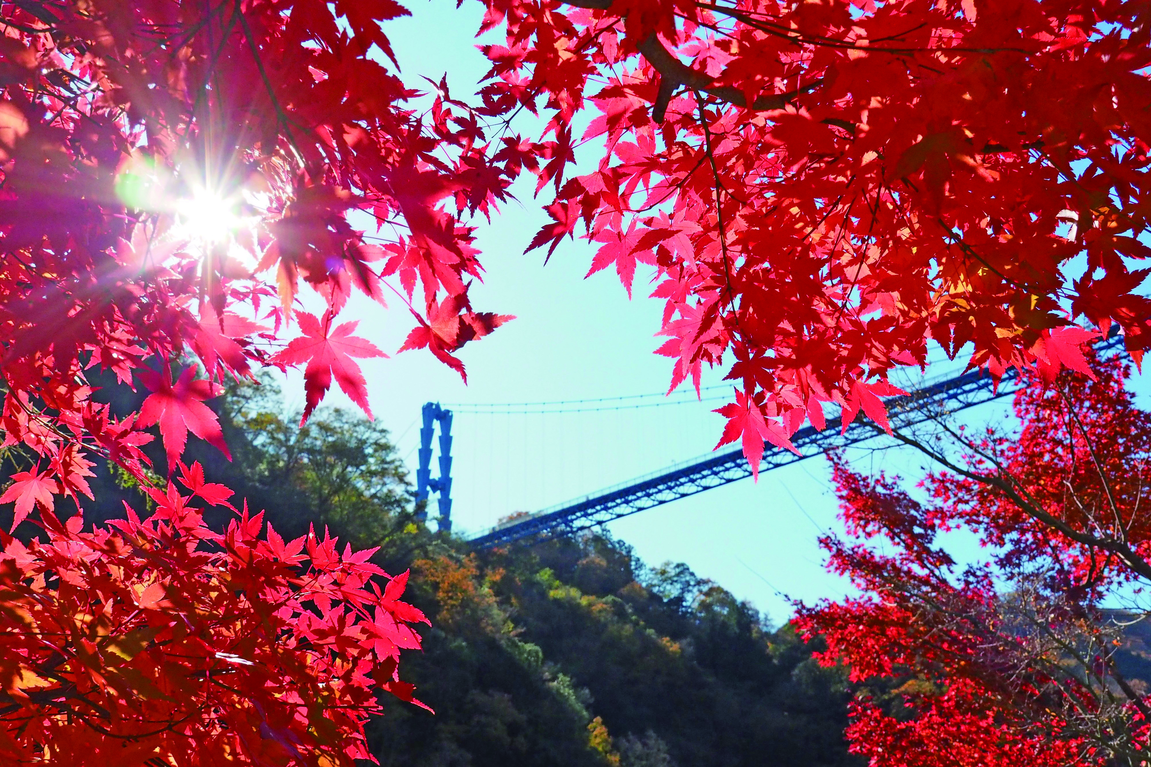 龍神大吊橋