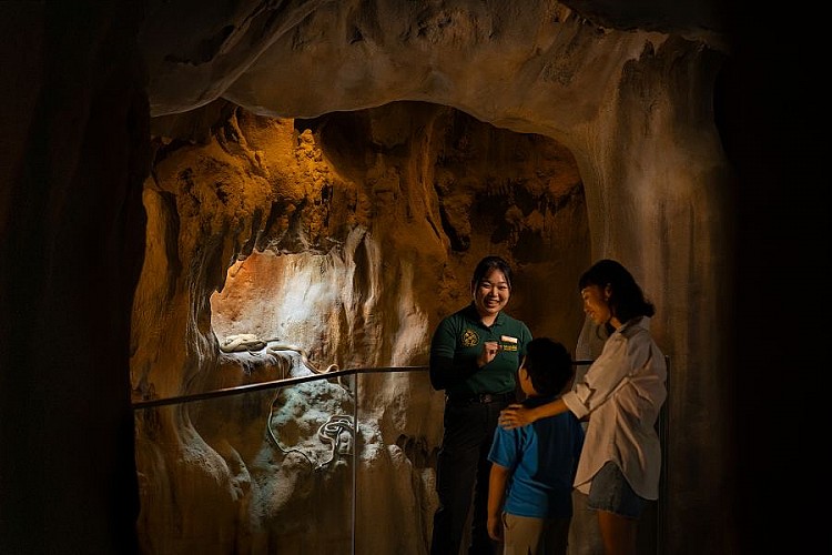 亞洲雨林探險園內又細分多種主題空間，遊客可依照身體狀況或喜好自由選擇冒險程度，高架平坦步道適合全家與行動不便者，森林小徑與高難度路線則適合喜愛挑戰的探險者。