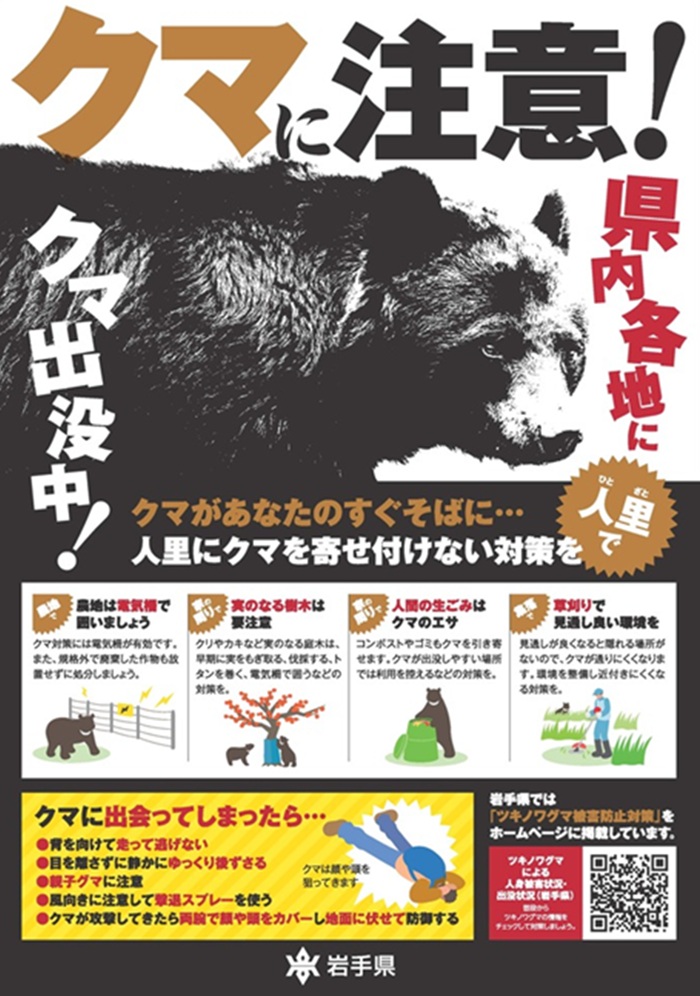 熊出沒注意