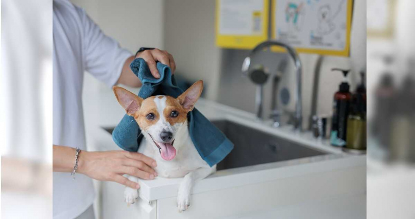 瀚寓夏天3樓設有寵物洗沐區與完善設備，方便毛孩隨時清潔。（圖／瀚寓夏天提供）