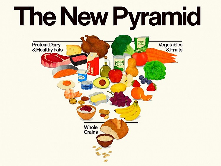 食物金字塔時隔 34 年大洗牌