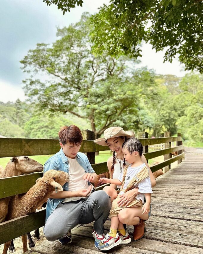 【飛牛牧場】苗栗通霄好玩的親子景點，門票優惠、園區介紹、住宿推薦懶人包