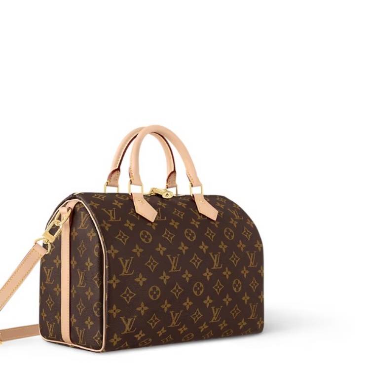 Louis Vuitton Speedy 的故事始於 1930 年。當時，品牌將經典的 Keepall 旅行袋縮小，創造出一款適合日常使用的手提包。