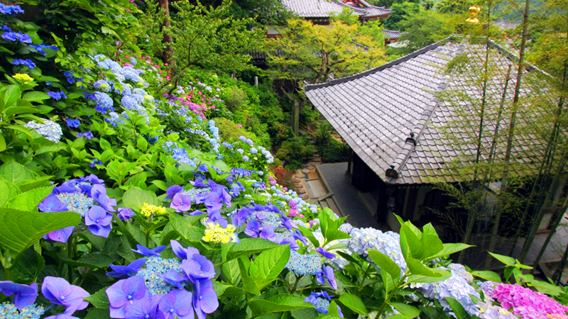 長谷寺