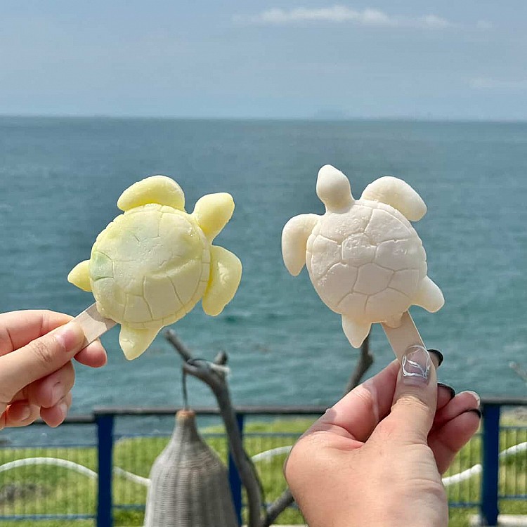 位在琉球環島公路山豬溝風景區對面的「允好嘉黑糖霜淇淋」同樣是許多觀光客的心頭好，以各式新鮮水果製成的海龜造型冰棒，繽紛的外型讓人光看就心情大好，重點是不只好拍還很好吃。