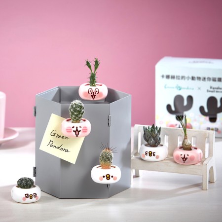 給我療癒就對了!【Green Pandora】卡娜赫拉迷你磁鐵盆栽(2入/組)x3組 療癒 紓壓 辦公室擺飾 送同事 職場禮 年度熱銷 多肉植物 盆栽 舒心 禮物