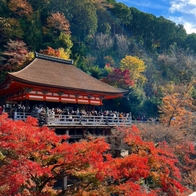 2023日本和服推薦｜獨家京都和服推薦10選！超質感清水寺和服店、嵐山和服推薦，就要跟別人穿得不一樣！