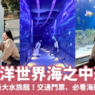 2026 福岡景點【海洋世界海之中道】九州最大水族館！門票交通、必看海豚表演與館內攻略！