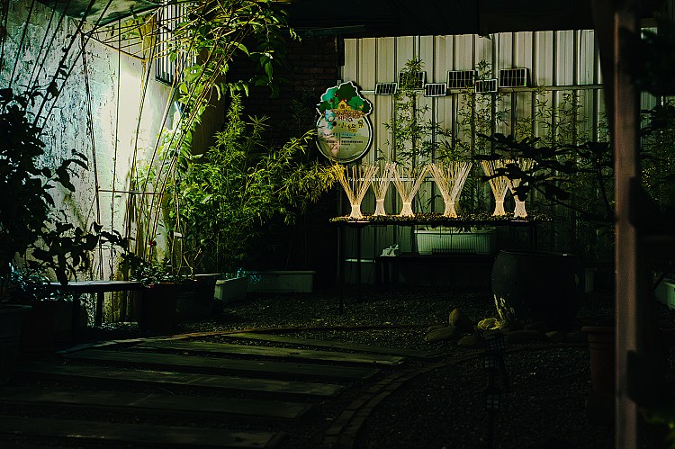 《熱點》黃昱凱｜林森漫步1907