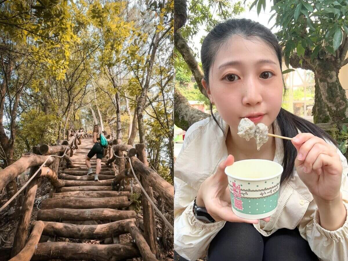 全台親山步道推薦｜新手也能輕鬆走！12條絕美親山步道懶人包，森林系、天空步道、101夜景全收錄