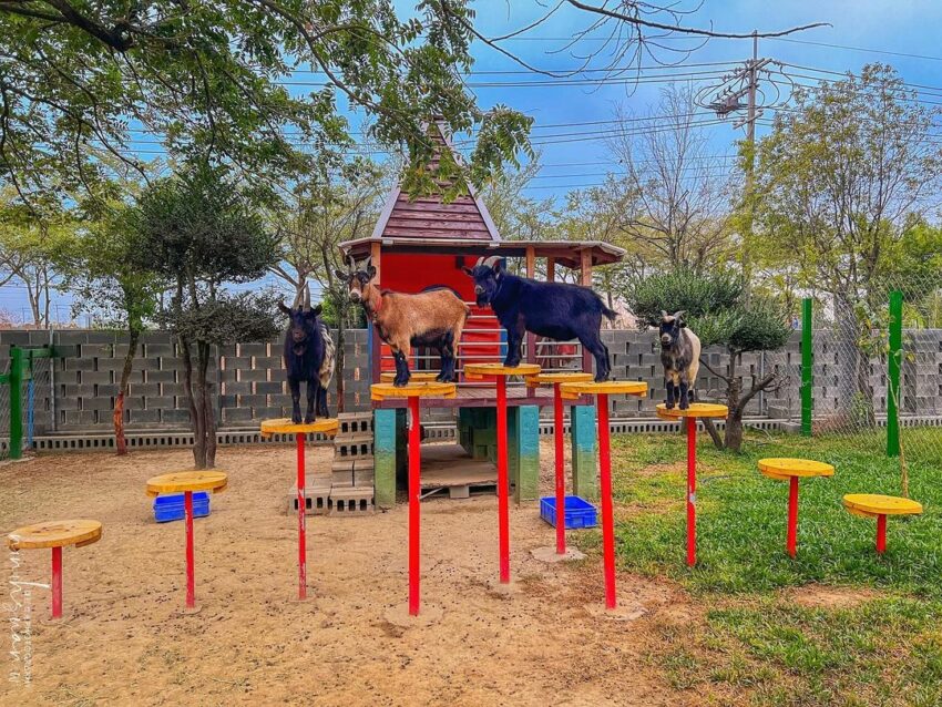 嘉義景點推薦｜40個嘉義新景點＆嘉義一日遊路線！跟著嘉義景點地圖一起玩