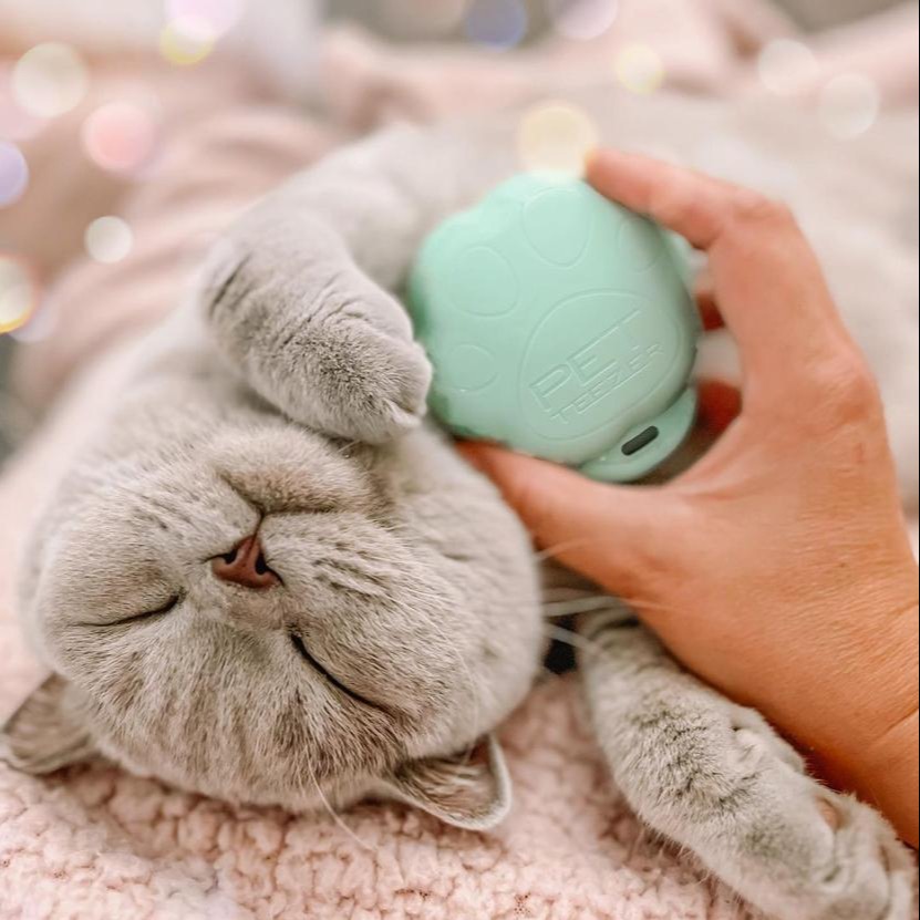 【PET TEEZER提碁】毛孩貓咪梳-青草綠 | 寵物梳