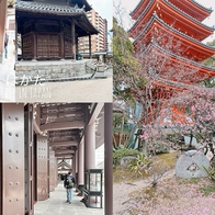 博多景點【真言宗 東長寺】整體高16.1公尺的福岡大佛,隱藏版震撼 - ONLYYUSUKE*吃喝玩樂都最高