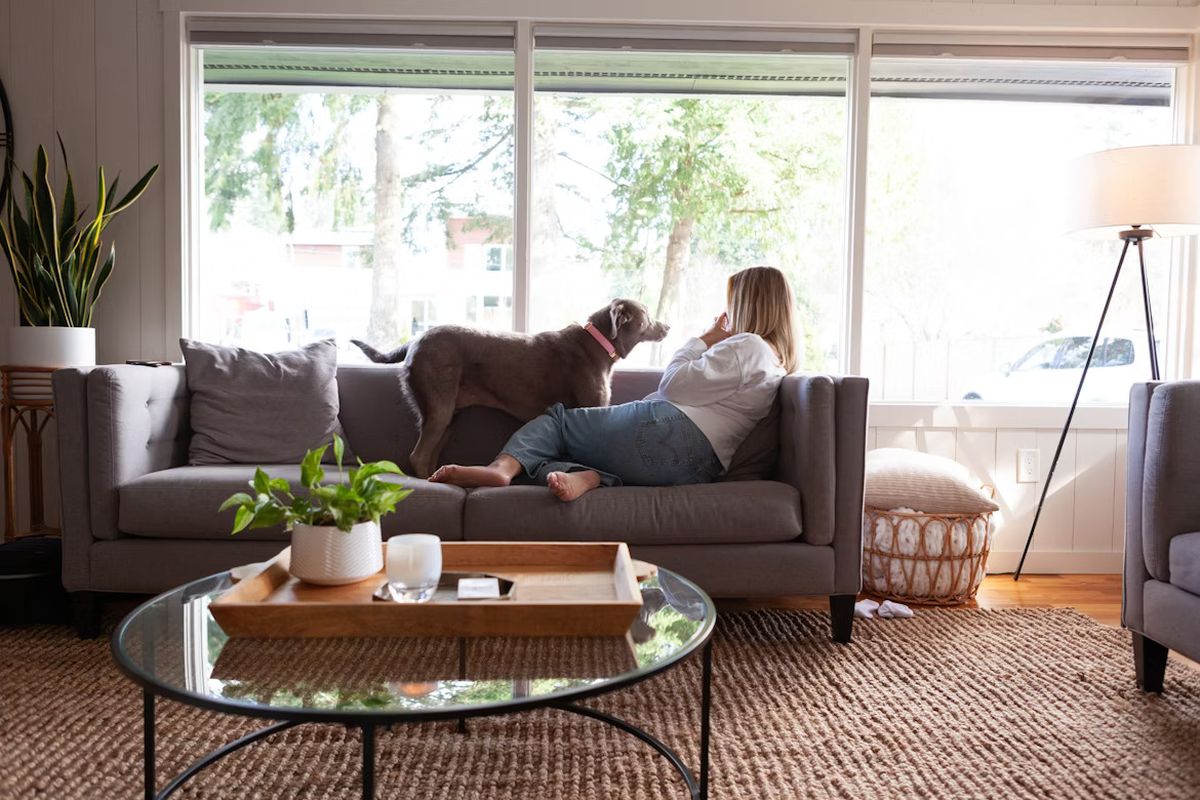 居家；防蚊；住宅；室內設計