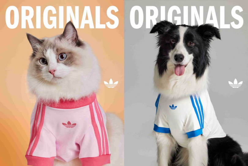 （圖／品牌提供）