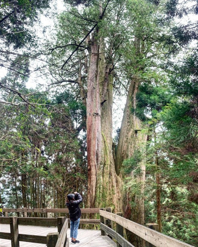 國家森林遊樂區,觀霧國家森林遊樂區,國家公園,雪霸休閒農場, 森林遊樂區, 國家森林遊樂區, 森林好好玩, 明池國家森林遊樂區, 向陽森林遊樂區, 太魯閣遊客中心, 國家公園申請, 向陽國家森林遊樂區, 雙流瀑布, 溪頭國家森林遊樂區, 太平山門票買一送一, 雪霸休閒農場適合去的月份, 國家公園法, 藤枝國家公園, 太魯閣國家公園管理處, 雪見遊客中心, 雪山國家公園, 雪見國家公園, 雪霸休閒農場穿著, 明池森林遊樂區門票, 新威遊客中心, 玉山管理處, 雪見步道, 馬告國家公園, 16湖國家公園, 雙流瀑布步道, 國家森林公園, 森林遊樂區住宿, 磺嘴山申請, 藤枝預約查詢, 向陽森林遊樂區開放, 雪見森林遊樂區, 雪霸休閒, 明池國家森林遊樂區門票, 藤枝接駁車, 林務局森林遊樂區, 向陽國家森林遊樂區門票, 觀霧山椒魚生態中心, 藤枝國家公園預約, 雪見遊憩區步道, 塔塔加步道難度, 向陽遊樂區, 中部森林遊樂區, 高山型國家公園, 克魯格國家公園, 雪霸休閒農場步道, 雪見遊憩區入山證, 藤枝森林公園, 向陽國家公園, 南橫向陽森林遊樂區, 國家森林遊樂區訂房, 雪霸休閒農場交通, 溪頭國家公園, 太魯閣國家公園遊客中心, 合歡山國家公園, 向陽森林遊樂區住宿, 雪山國家公園申請, 國家公園寵物, 藤枝接駁, 合歡山空拍申請, 太魯閣管理處, 藤枝國家森林公園, 北部森林遊樂區, 森林好好玩買一送一, 向陽國家森林遊樂區官網, 森林國家公園, 雪霸國家公園管理處汶水遊客中心, 美西國家公園, 棲蘭國家森林遊樂區, 太魯閣台地步道, 滿月圓森林遊樂區遊客中心, 國家公園地圖, 森林遊樂, 雪霸國家公園武陵遊客中心, 墾丁國家森林遊樂區遊客中心, 八仙山莊海拔, 汶水公園, 棲蘭國家森林遊樂區售票處, 明池國家森林遊樂區明池神木, 國家公園志工招募2023, 大雪山國家森林遊樂區林業陳列館,