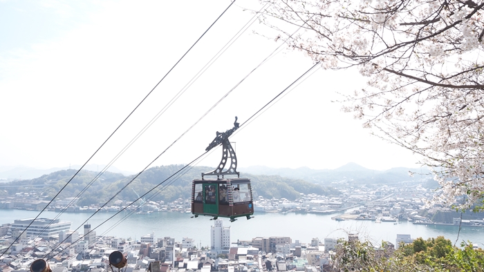 Photo by 9317