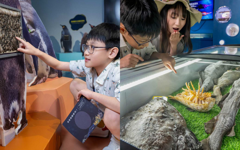 （圖／品牌提供）