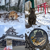 雪地裡的圓滾滾狐狸們太可愛啦！宮城縣藏王狐狸村+白石城一日遊 | Japaholic