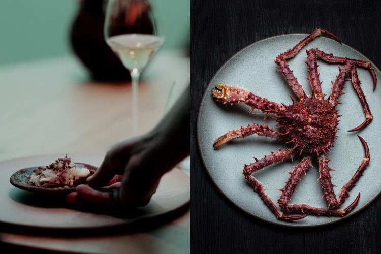 Under 的料理核心，同樣深深扎根於所處的自然環境。餐廳由米其林星級主廚 Nicolai Ellitsgaard 領軍，菜單完全圍繞「海洋」與挪威南部風土展開。料理大量使用當地漁獲、野生海藻、淡菜、海膽與沿岸罕見貝類，並巧妙結合森林香草與野味元素，呈現出層次分明卻不過度裝飾的北歐風味哲學。每一道菜看似簡潔，實則極度講究比例、溫度與口感轉換，讓食材本身成為主角。這裡的料理不僅震撼味蕾，也讓人「聽見」海洋的聲音，鹹、鮮、冷冽而純粹。