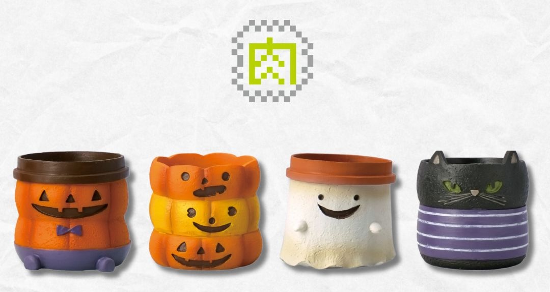 【肉肉玩具箱】-日本進口萬聖節多肉植物盲盒