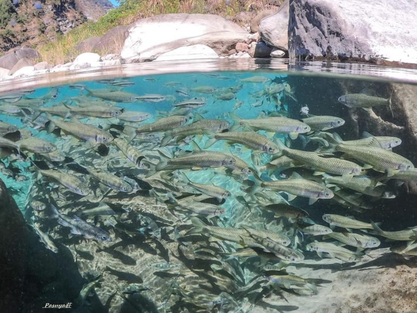【2025達娜伊谷】達娜伊谷一日遊怎麼玩？自然生態公園&水上餐廳必去