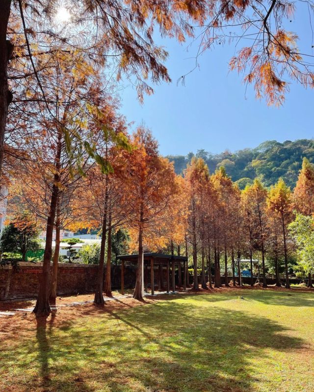 台中一日遊：石岡區小而美的城鎮！探訪懷舊景點、吃號稱台中吐司屆的LV