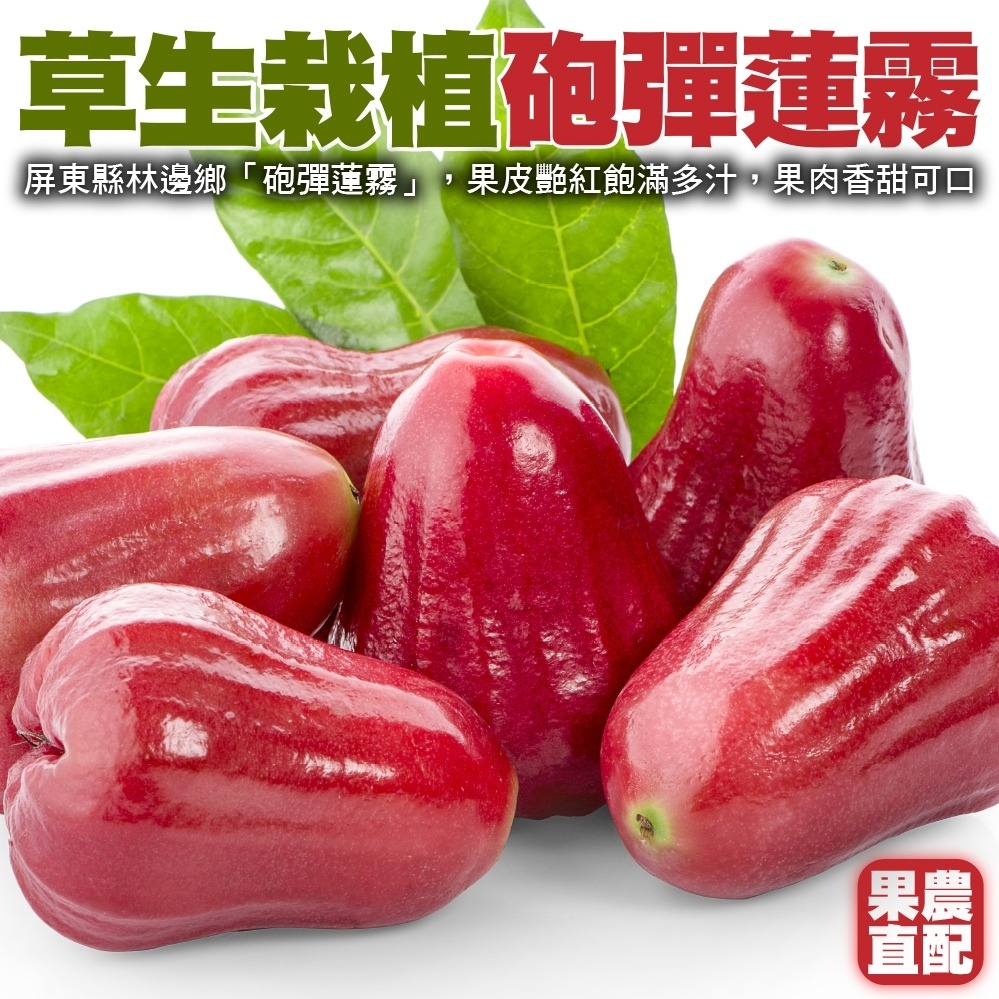 預購【切果季】屏東林邊草生栽植砲彈蓮霧(4斤±10%/盒)