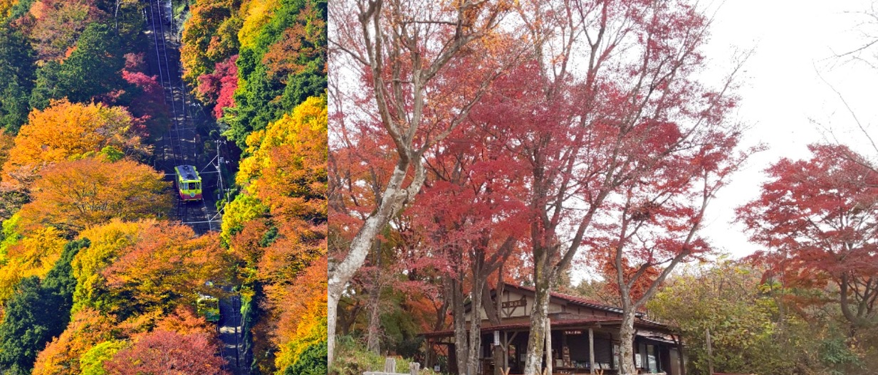 高尾山