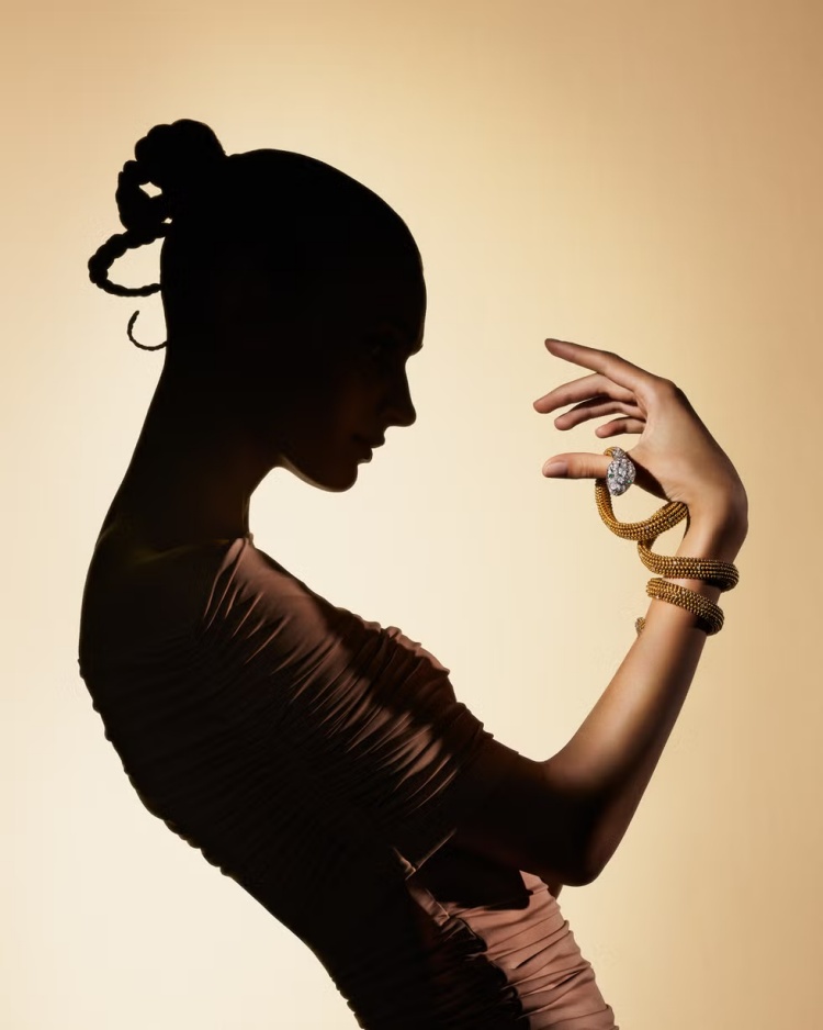 Serpenti 並非僅止步於經典，而是在不斷進化中展現創新生命力。從最初藏錶於蛇口的「秘密腕錶」，到1960年代琺瑯鱗片與寶石交織的艷麗設計，再到21世紀的 Tubogas、Twist Your Time 等系列，Serpenti 採用雙圈設計、皮革與金屬混搭材質，並延伸至戒指、手鐲與項鍊等多元品項。