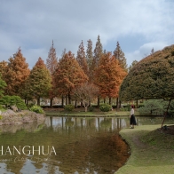 彰化景點》成美文化園｜百米落羽松步道超夢幻！油紙傘天空步道、百年古厝、日式庭園，週末親子一日遊