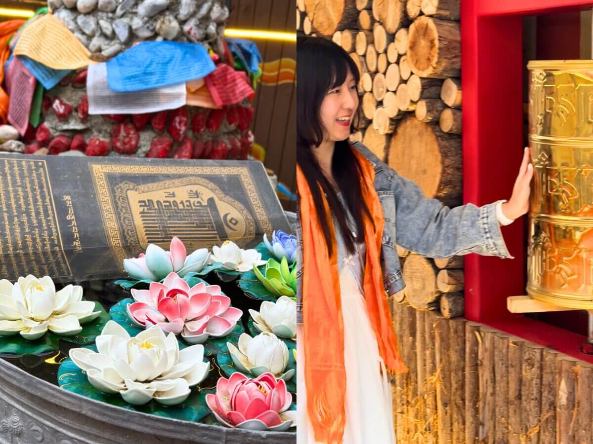 大陸景點｜四川九寨溝 × 黃龍兩日夢幻之旅，走進仙境再品嚐正宗氂牛火鍋！