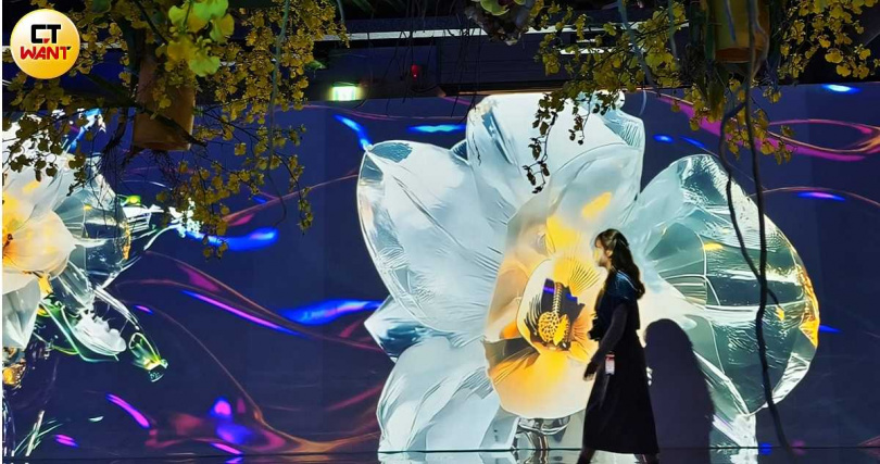 一踏入位於生活館內的數位沉浸館區，便可見螢幕上播放的影片與垂掛的蘭花交織成景，可以藉此拍出浪漫美照。（圖／魏妤靜攝）