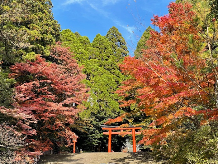 九州紅葉推薦景點－鹿兒島 霧島