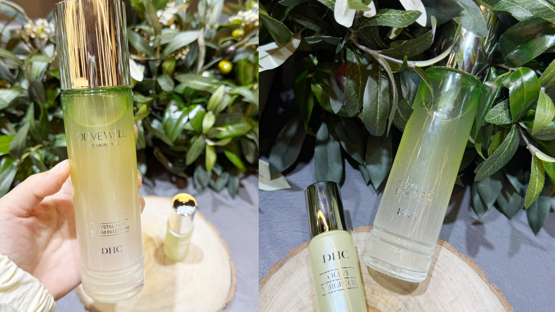 DHC OLIVE WELL純橄情系列