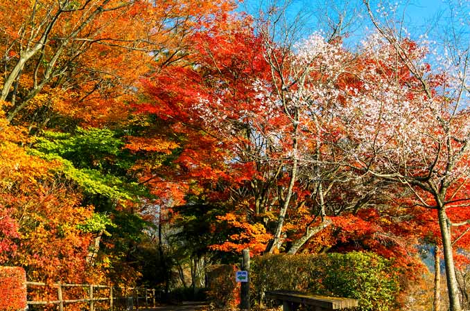 城峰公園