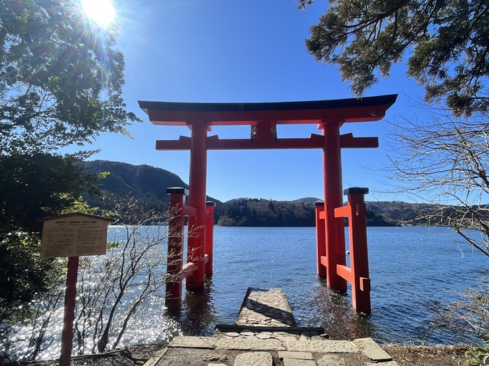 箱根神社鳥居