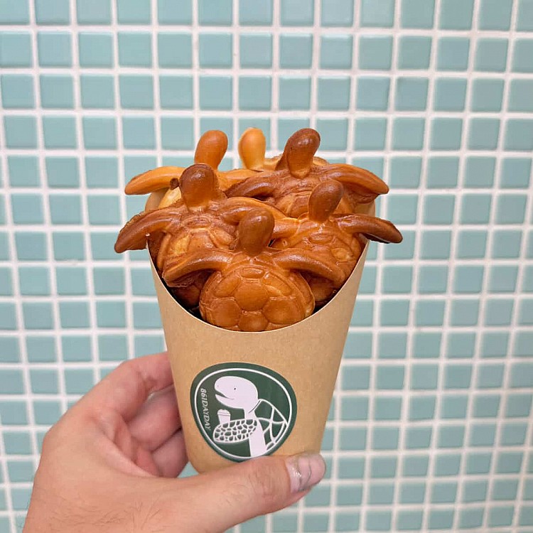 同樣位在市區的「861dayday」，主打的海龜燒可以說是觀光客人手一杯，吃起來口感就像雞蛋糕，但是裡面還有卡士達餡料，吃起來外脆內鬆軟很刷嘴。