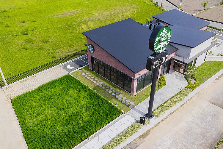 門市前方的農地保留了原有的稻作脈動，並與苑裡農會攜手合作，將星巴克Logo巧妙化為「稻田彩繪」，在金黃稻浪間展現咖啡與土地的對話。隨著稻浪搖曳，躍然田野間。