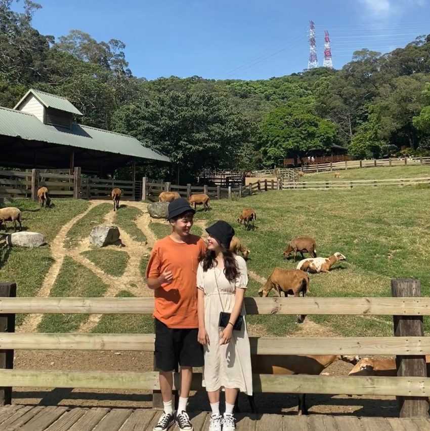 【飛牛牧場】苗栗通霄好玩的親子景點，門票優惠、園區介紹、住宿推薦懶人包