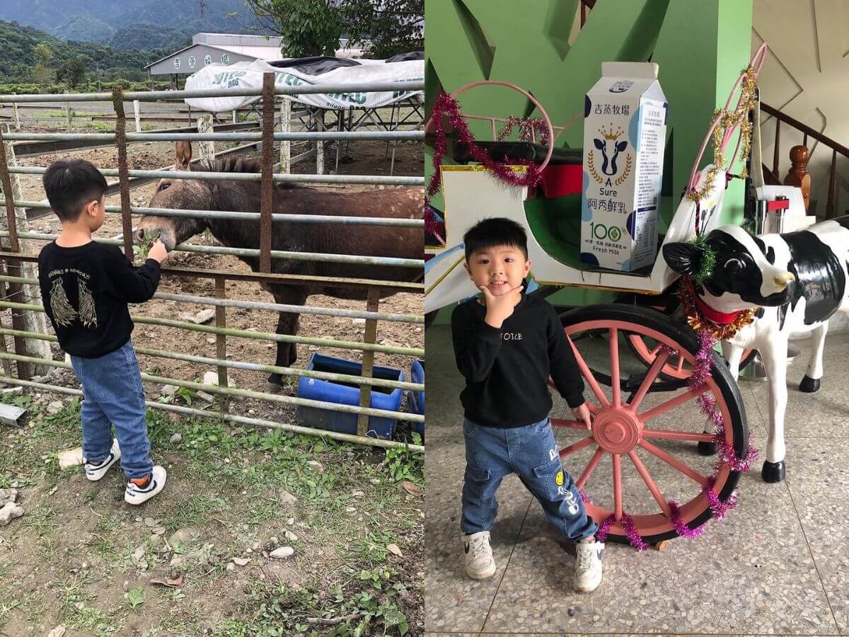 花蓮親子景點｜暑假13個放電好去處！鳳梨園小火車、章魚燒DIY，順遊「台版紐西蘭」夢幻景點