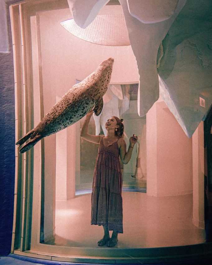 【Xpark水族館最新攻略】探索奇妙海洋世界！必逛展區/如何購票/美食餐廳/交通/夜宿懶人包