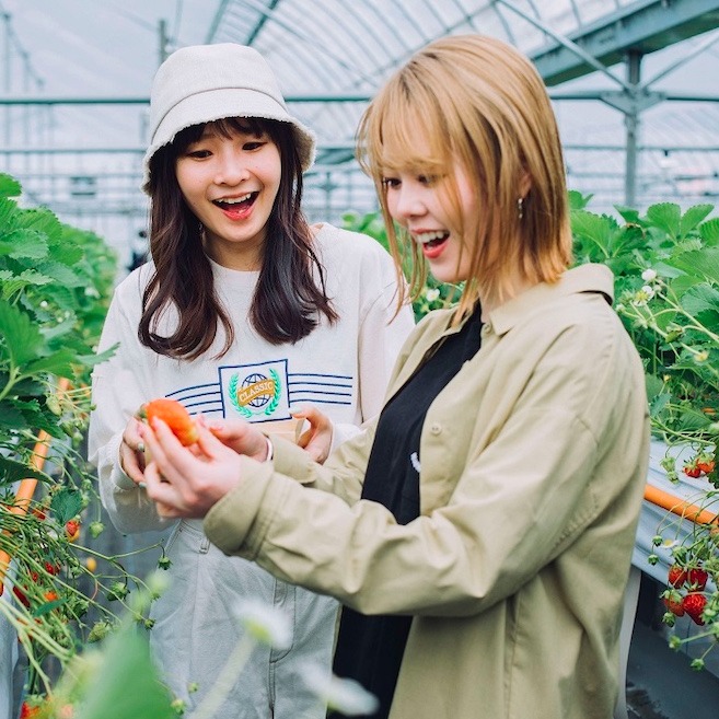 舌尖上的廣島冬日旬味 從檸檬鍋、牡蠣六吃到美食市集　走進暖味暖心的滋補饗宴