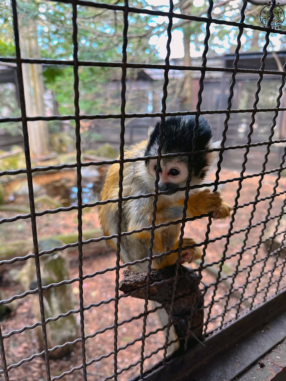 九州自然動物園