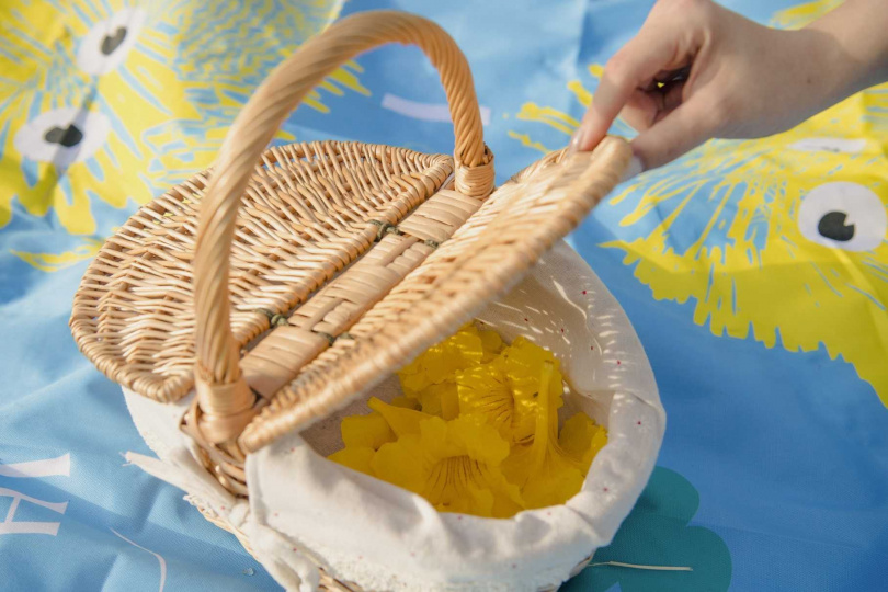 嘉義市府周末舉辦野餐，民眾持舊電池兌換，就能得到野餐墊或野餐籃。（圖／嘉義市府提供）