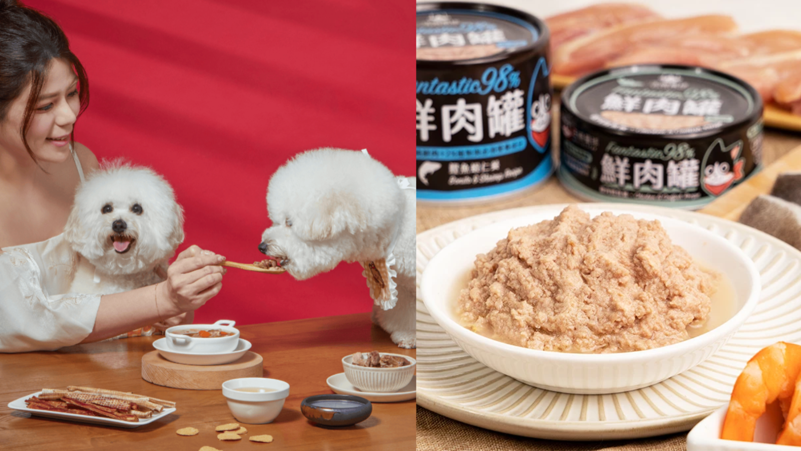 天氣太熱毛孩又不吃飯？8 款「開胃神器」讓牠秒清碗！
